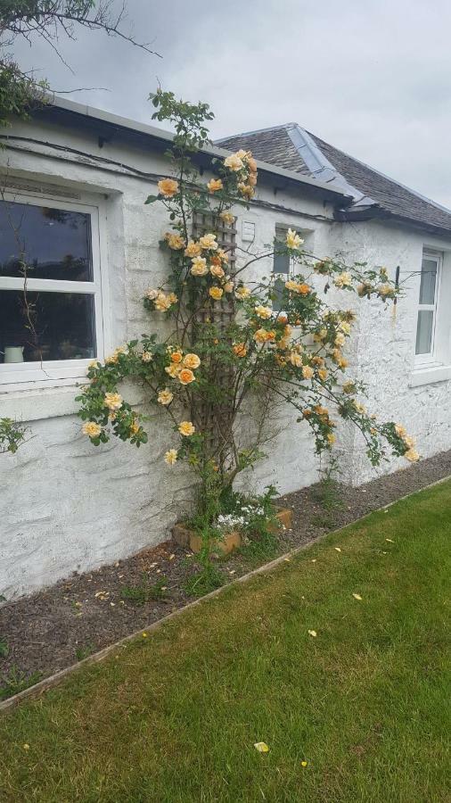Villa Barcloy Honey House à Kirkcudbright Extérieur photo